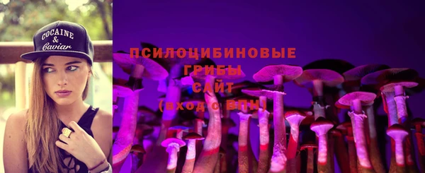прущие грибы Алексеевка