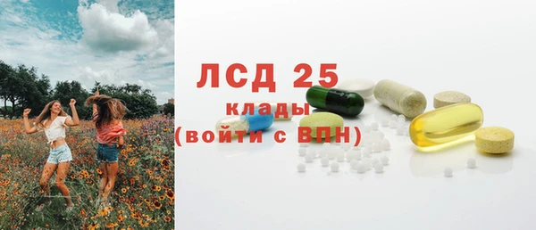 прущие грибы Алексеевка