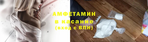 прущие грибы Алексеевка