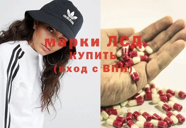 прущие грибы Алексеевка