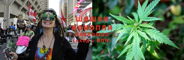 прущие грибы Алексеевка